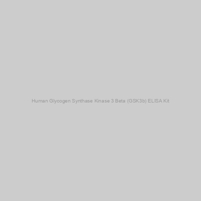 Human Glycogen Synthase Kinase 3 Beta (GSK3b) ELISA Kit